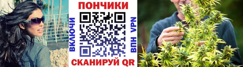 Купить закладки  Богородск  Шишки марихуана Amnesia 